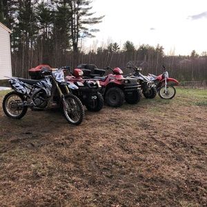 Meet your Posher, Owen